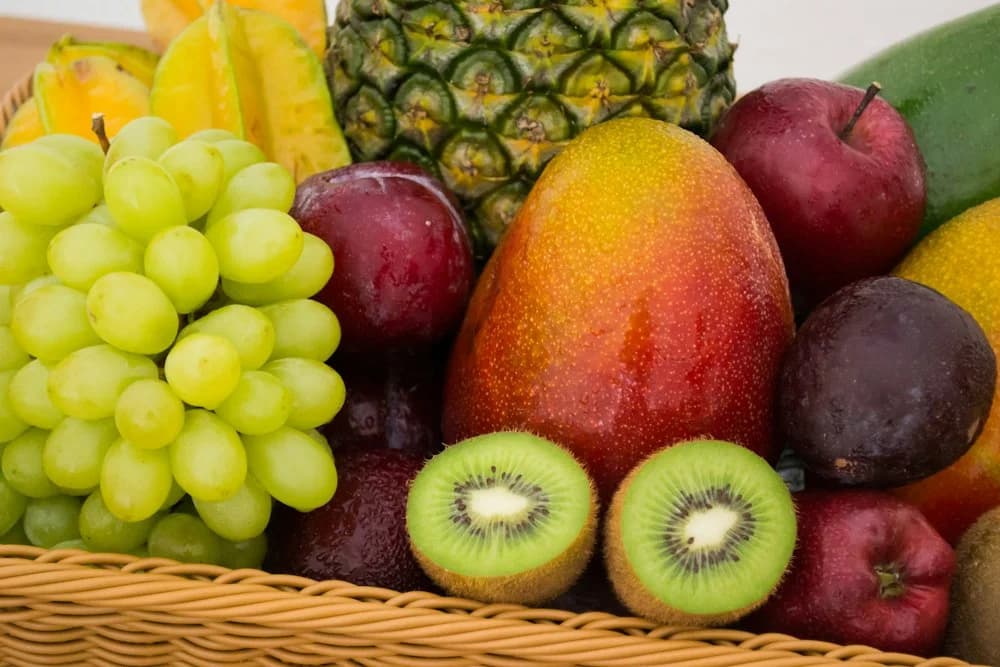 Fresh Agriculture and Tropical Produce Plantae Exports